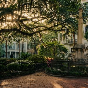 Savannah