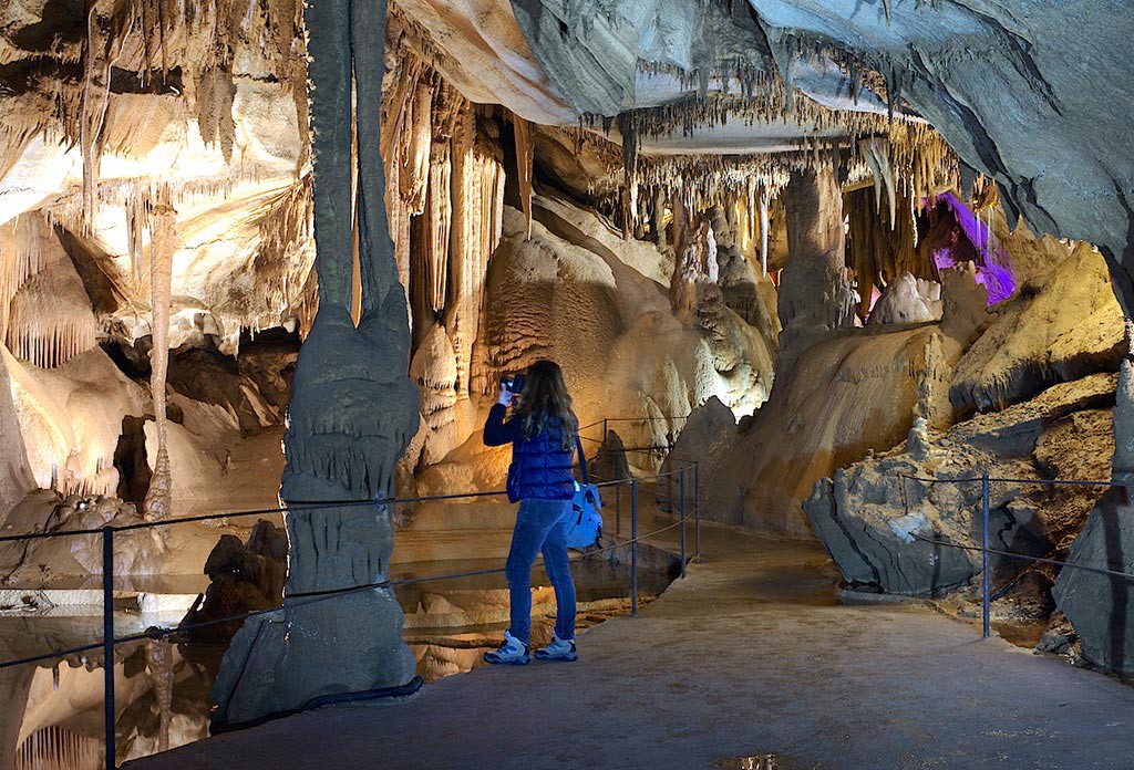 exposition