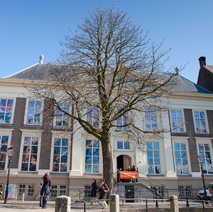The Hague